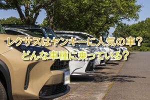 レクサスに乗る若者、その背景とステータス