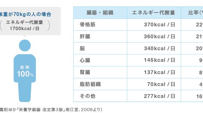 寒さに強くなるには?驚くべきトレーニング方法 1 e5af92e38195e381abe5bcb7e3818fe381aae3828be381abe381afefbc9fe9a99ae3818fe381b9e3818de38388e383ace383bce3838be383b3e382b0e696b9e6b395