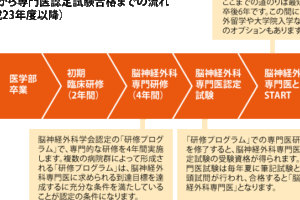 専門家になるには？その道のりとステップ