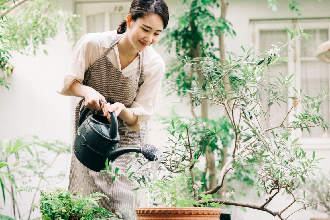木が枯れると不吉?その意味と対処法 1 e69ca8e3818ce69eafe3828ce3828be381a8e4b88de59089efbc9fe3819de381aee6848fe591b3e381a8e5afbee587a6e6b395