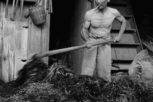 江戸時代の筋肉写真、その方法と記録