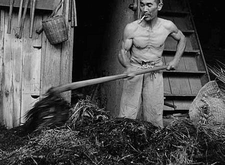 江戸時代の筋肉写真、その方法と記録 1 e6b19fe688b8e69982e4bba3e381aee7ad8be88289e58699e79c9fe38081e3819de381aee696b9e6b395e381a8e8a898e98cb2