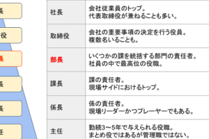 統括部長とは？その責任と役割を徹底解説