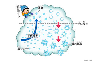 雪は何度から降る？その科学的メカニズムを解説