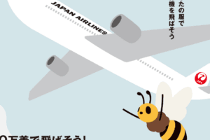 飛行機は台風の上を飛ぶ？その安全性と飛行計画